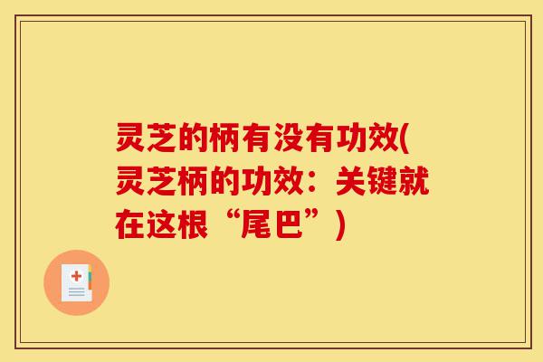 灵芝的柄有没有功效(灵芝柄的功效:关键就在这根“尾巴”)-第1张图片-灵芝之家 灵芝的柄有没有功效(灵芝柄的功效:关键就在这根“尾巴”)-第1张图片-灵芝之家
