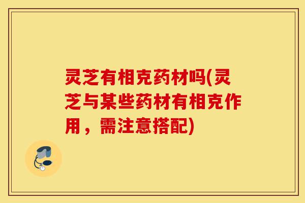 灵芝有相克药材吗(灵芝与某些药材有相克作用,需注意搭配)-第1张图片-灵芝之家 灵芝有相克药材吗(灵芝与某些药材有相克作用,需注意搭配)-第1张图片-灵芝之家
