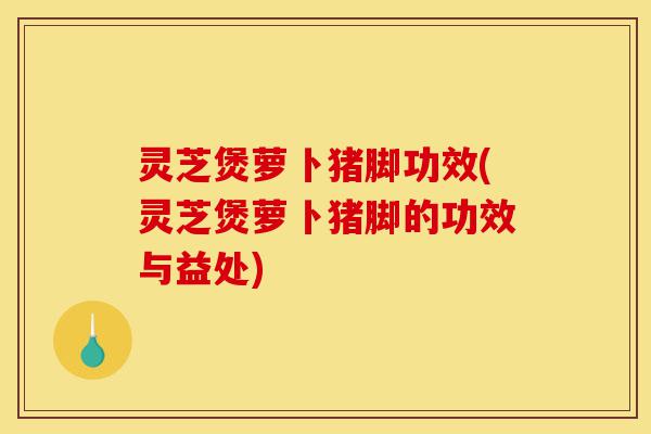 灵芝煲萝卜猪脚功效(灵芝煲萝卜猪脚的功效与益处)-第1张图片-灵芝之家 灵芝煲萝卜猪脚功效(灵芝煲萝卜猪脚的功效与益处)-第1张图片-灵芝之家