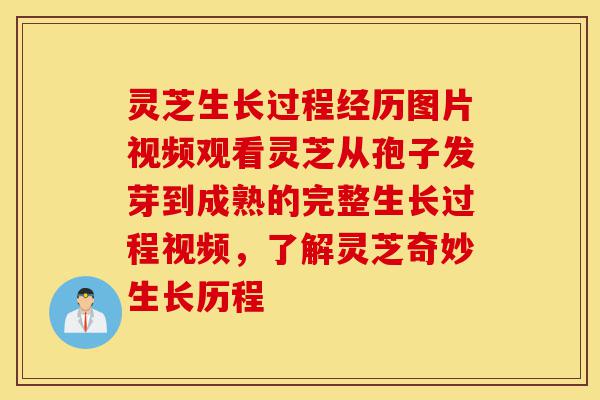 灵芝生长过程经历图片视频观看灵芝从孢子发芽到成熟的完整生长过程视频,了解灵芝奇妙生长历程-第1张图片-灵芝之家 灵芝生长过程经历图片视频观看灵芝从孢子发芽到成熟的完整生长过程视频,了解灵芝奇妙生长历程-第1张图片-灵芝之家