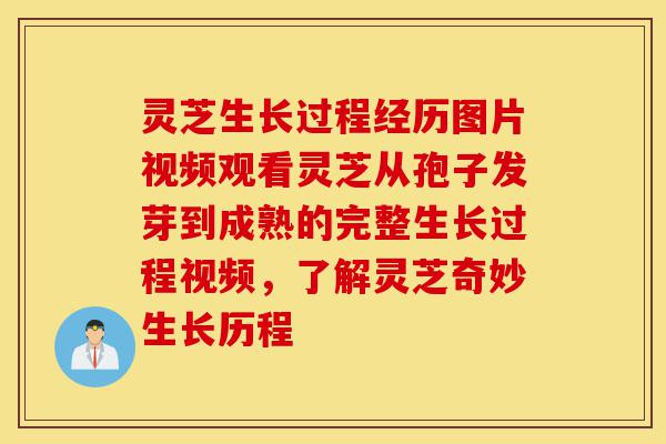 灵芝生长过程经历图片视频观看灵芝从孢子发芽到成熟的完整生长过程视频，了解灵芝奇妙生长历程-第1张图片-灵芝之家