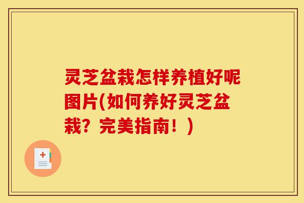 灵芝盆栽怎样养植好呢图片(如何养好灵芝盆栽?完美指南!)-第1张图片-灵芝之家 灵芝盆栽怎样养植好呢图片(如何养好灵芝盆栽?完美指南!)-第1张图片-灵芝之家