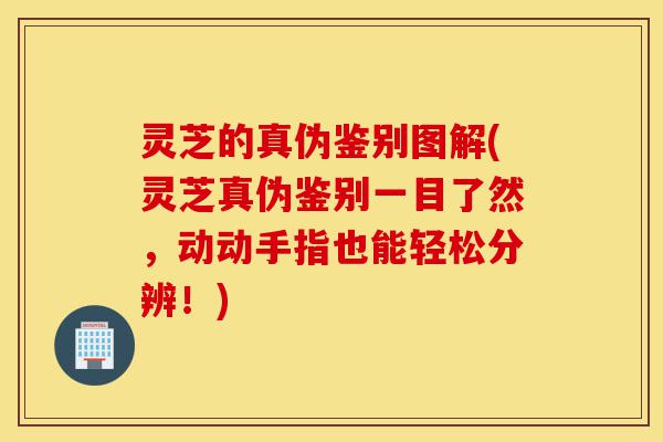 灵芝的真伪鉴别图解(灵芝真伪鉴别一目了然，动动手指也能轻松分辨！)-第1张图片-灵芝之家