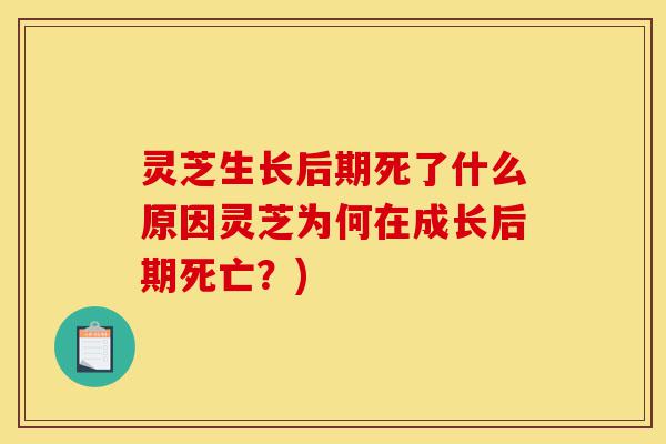 灵芝生长后期死了什么原因灵芝为何在成长后期死亡?)-第1张图片-灵芝之家 灵芝生长后期死了什么原因灵芝为何在成长后期死亡?)-第1张图片-灵芝之家