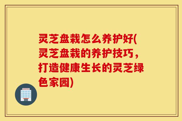 灵芝盘栽怎么养护好(灵芝盘栽的养护技巧，打造健康生长的灵芝绿色家园)-第1张图片-灵芝之家