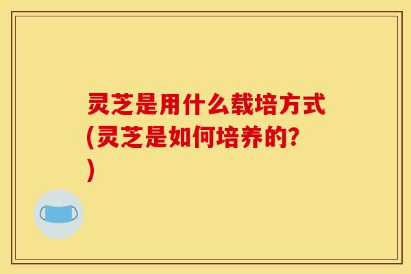 灵芝是用什么载培方式(灵芝是如何培养的?)-第1张图片-灵芝之家 灵芝是用什么载培方式(灵芝是如何培养的?)-第1张图片-灵芝之家