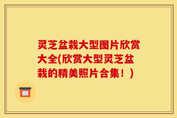 灵芝盆栽大型图片欣赏大全(欣赏大型灵芝盆栽的精美照片合集！)-第1张图片-灵芝之家