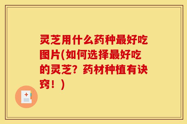 灵芝用什么药种最好吃图片(如何选择最好吃的灵芝?药材种植有诀窍!)-第1张图片-灵芝之家 灵芝用什么药种最好吃图片(如何选择最好吃的灵芝?药材种植有诀窍!)-第1张图片-灵芝之家