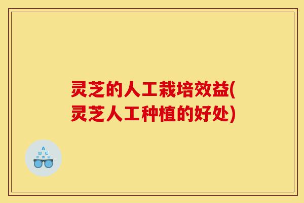 灵芝的人工栽培效益(灵芝人工种植的好处)-第1张图片-灵芝之家 灵芝的人工栽培效益(灵芝人工种植的好处)-第1张图片-灵芝之家