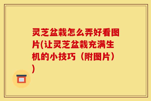 灵芝盆栽怎么弄好看图片(让灵芝盆栽充满生机的小技巧(附图片))-第1张图片-灵芝之家 灵芝盆栽怎么弄好看图片(让灵芝盆栽充满生机的小技巧(附图片))-第1张图片-灵芝之家