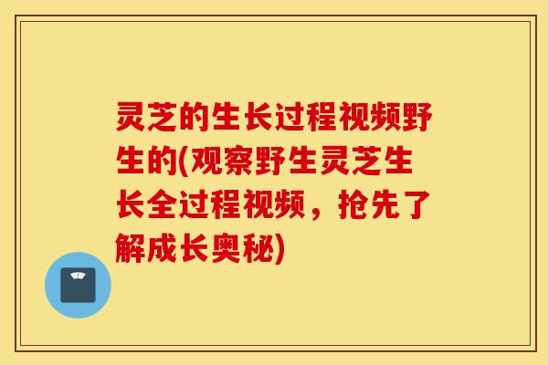 灵芝的生长过程视频野生的(观察野生灵芝生长全过程视频，抢先了解成长奥秘)-第1张图片-灵芝之家