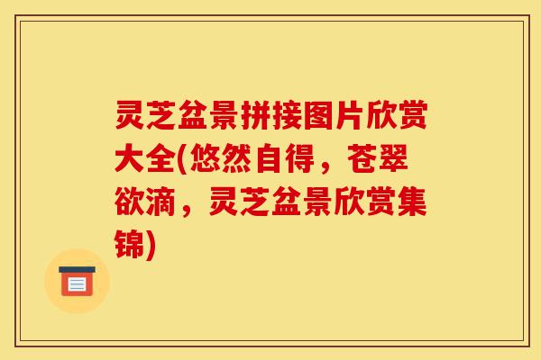 灵芝盆景拼接图片欣赏大全(悠然自得,苍翠欲滴,灵芝盆景欣赏集锦)-第1张图片-灵芝之家 灵芝盆景拼接图片欣赏大全(悠然自得,苍翠欲滴,灵芝盆景欣赏集锦)-第1张图片-灵芝之家