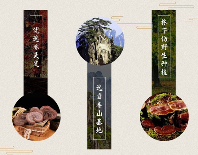 灵芝孢子粉有什么功效?灵芝孢子粉哪里的好?-第4张图片-灵芝之家 灵芝孢子粉有什么功效?灵芝孢子粉哪里的好?-第4张图片-灵芝之家