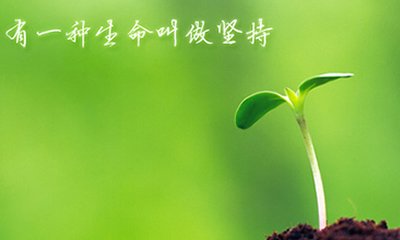 破壁灵芝孢子粉的功效与作用是什么?灵芝孢子粉吃多少合适?-第1张图片-灵芝之家 破壁灵芝孢子粉的功效与作用是什么?灵芝孢子粉吃多少合适?-第1张图片-灵芝之家