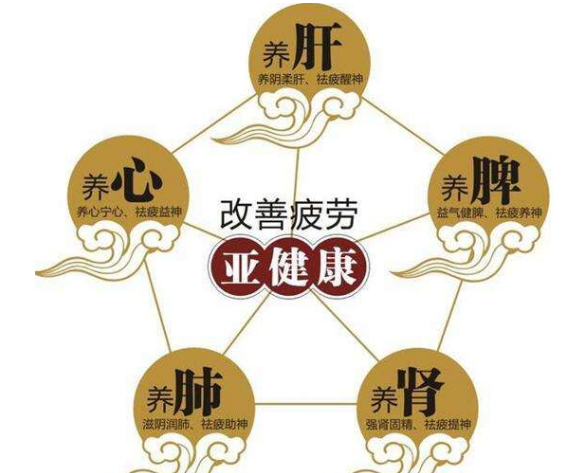 免疫力低下怎么调理？中医怎么提高免疫力？-第1张图片-灵芝之家