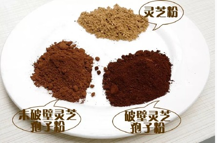 灵芝打粉和灵芝孢子粉的功用是一样的吗?-第1张图片-灵芝之家 灵芝打粉和灵芝孢子粉的功用是一样的吗?-第1张图片-灵芝之家