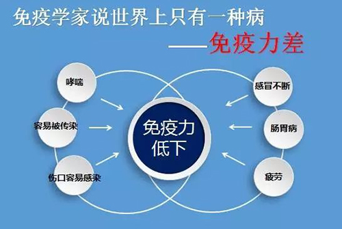 经常感冒的人吃灵芝孢子粉提高免疫力可以吗-第1张图片-灵芝之家 经常感冒的人吃灵芝孢子粉提高免疫力可以吗-第1张图片-灵芝之家