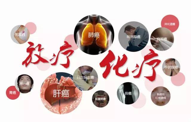 灵芝孢子粉的功用 对放化疗的辅助作用是什么?-第1张图片-灵芝之家 灵芝孢子粉的功用 对放化疗的辅助作用是什么?-第1张图片-灵芝之家