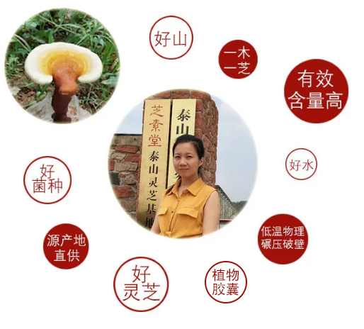 灵芝孢子粉的功用 对放化疗的辅助作用是什么?-第2张图片-灵芝之家 灵芝孢子粉的功用 对放化疗的辅助作用是什么?-第2张图片-灵芝之家