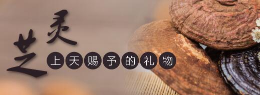 新冠疫情让 灵芝孢子粉的好处 “疫”外走红-第1张图片-灵芝之家 新冠疫情让 灵芝孢子粉的好处 “疫”外走红-第1张图片-灵芝之家