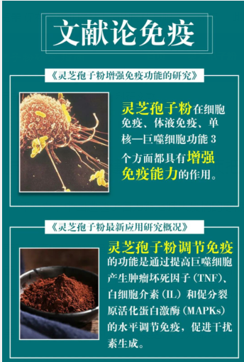 灵芝孢子粉的功用可以提高免疫力吗？-第1张图片-灵芝之家