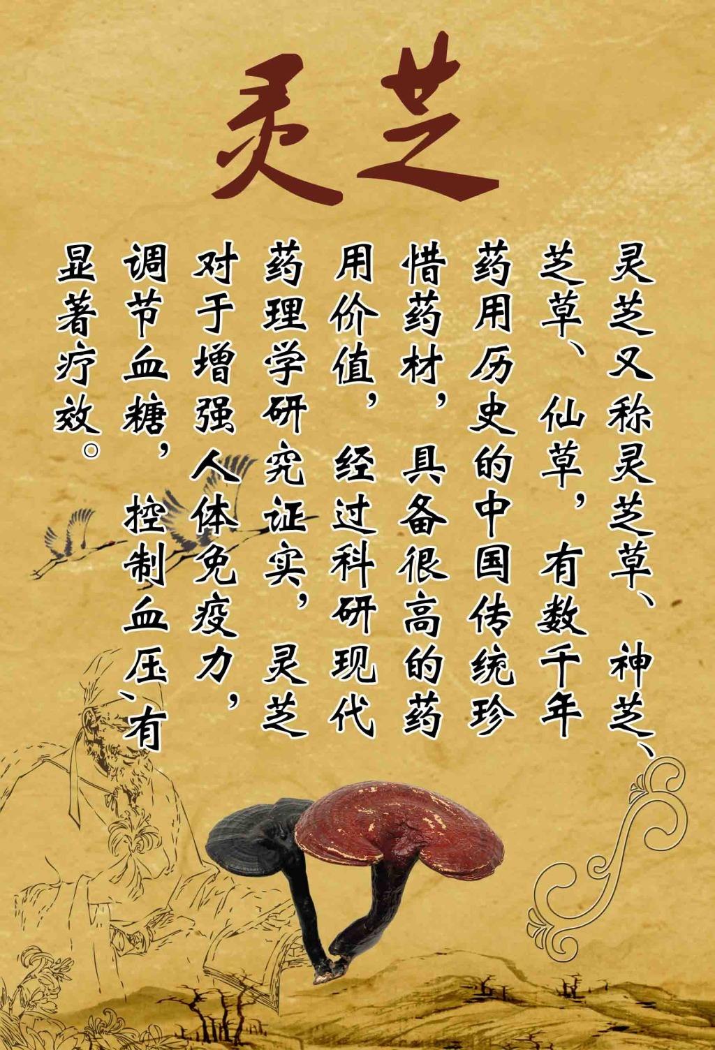 灵芝孢子粉有什么作用?为什么那多人被吸引?-第1张图片-灵芝之家 灵芝孢子粉有什么作用?为什么那多人被吸引?-第1张图片-灵芝之家
