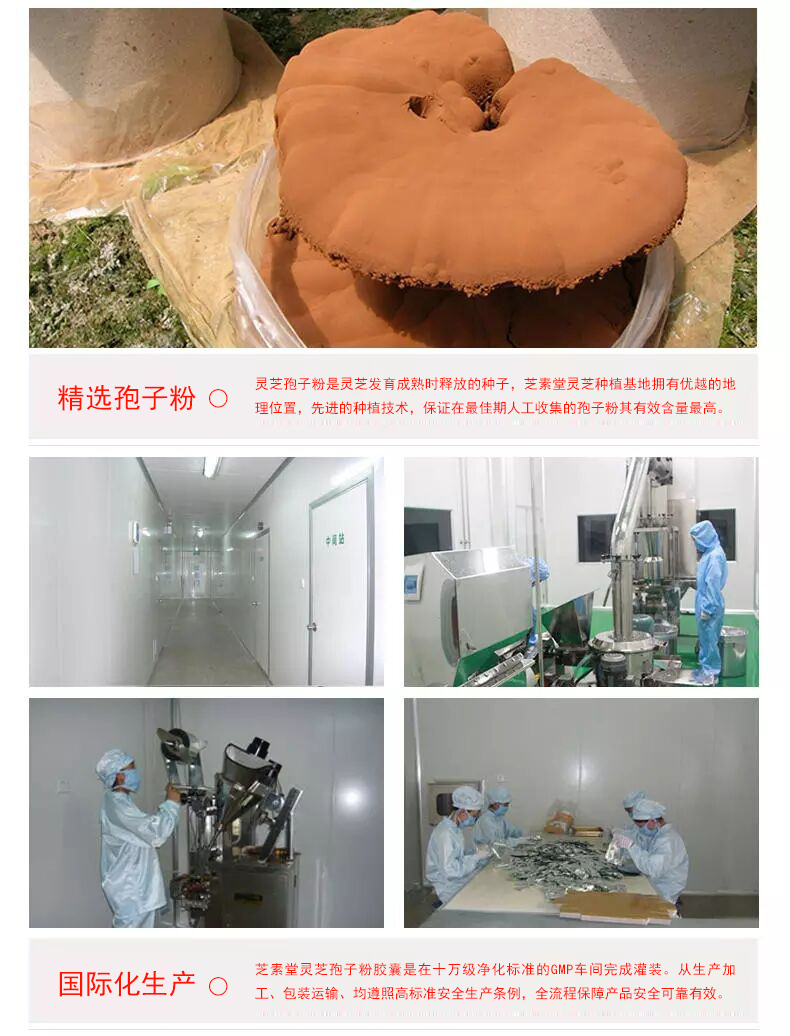 灵芝孢子粉哪家正宗?-第1张图片-灵芝之家 灵芝孢子粉哪家正宗?-第1张图片-灵芝之家