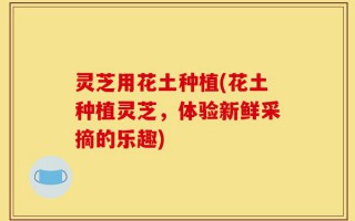 灵芝用花土种植(花土种植灵芝，体验新鲜采摘的乐趣)