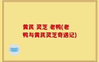 黄芪 灵芝 老鸭(老鸭与黄芪灵芝奇遇记)