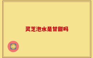 灵芝泡水是甘甜吗
