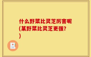 什么野菜比灵芝厉害呢(某野菜比灵芝更强？)