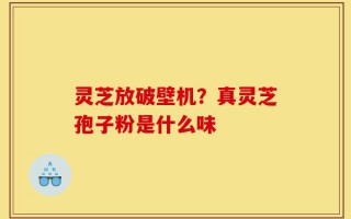 灵芝放破壁机？真灵芝孢子粉是什么味