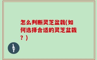 怎么判断灵芝盆栽(如何选择合适的灵芝盆栽？)