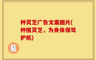 种灵芝广告文案图片(种植灵芝，为身体保驾护航)