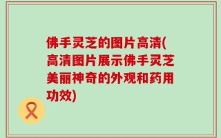 佛手灵芝的图片高清(高清图片展示佛手灵芝美丽神奇的外观和药用功效)
