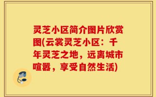 灵芝小区简介图片欣赏图(云裳灵芝小区：千年灵芝之地，远离城市喧嚣，享受自然生活)