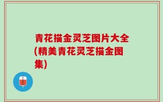 青花描金灵芝图片大全(精美青花灵芝描金图集)