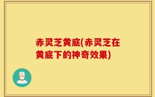 赤灵芝黄底(赤灵芝在黄底下的神奇效果)