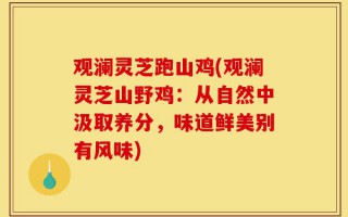 观澜灵芝跑山鸡(观澜灵芝山野鸡：从自然中汲取养分，味道鲜美别有风味)