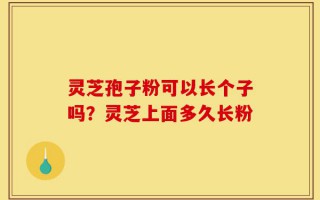 灵芝孢子粉可以长个子吗？灵芝上面多久长粉