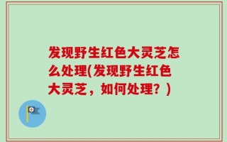 发现野生红色大灵芝怎么处理(发现野生红色大灵芝，如何处理？)