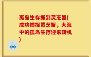 孤岛生存抓到灵芝蟹(成功捕捉灵芝蟹，大海中的孤岛生存迎来转机)