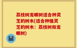 荔枝树龙眼树适合种灵芝的树木(适合种植灵芝的树木：荔枝树和龙眼树)