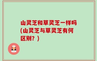 山灵芝和草灵芝一样吗(山灵芝与草灵芝有何区别？)