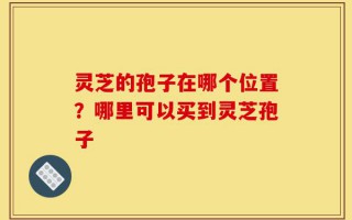 灵芝的孢子在哪个位置？哪里可以买到灵芝孢子