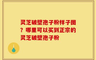 灵芝破壁孢子粉样子图？哪里可以买到正宗的灵芝破壁孢子粉