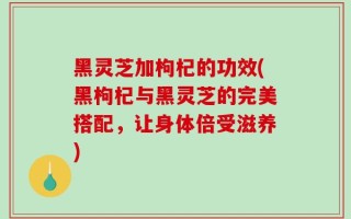 黑灵芝加枸杞的功效(黑枸杞与黑灵芝的完美搭配，让身体倍受滋养)