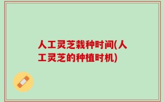人工灵芝栽种时间(人工灵芝的种植时机)