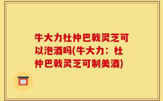 牛大力杜仲巴戟灵芝可以泡酒吗(牛大力：杜仲巴戟灵芝可制美酒)