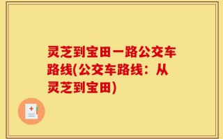 灵芝到宝田一路公交车路线(公交车路线：从灵芝到宝田)
